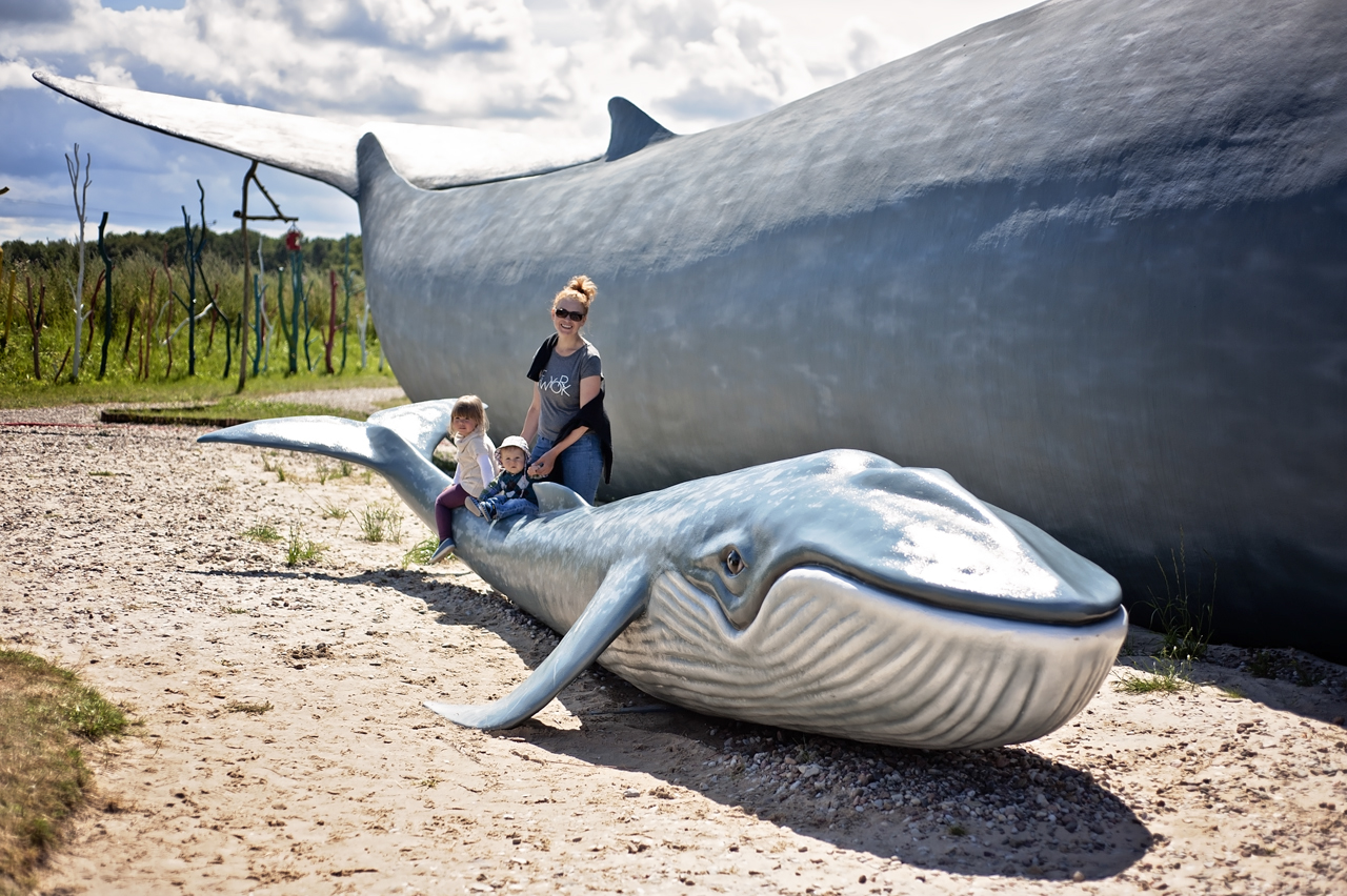 Park wieloryba Rewal