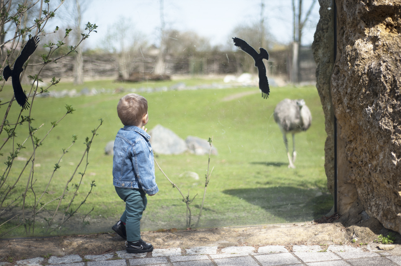 opolskie zoo atrakcje dla dzieci
